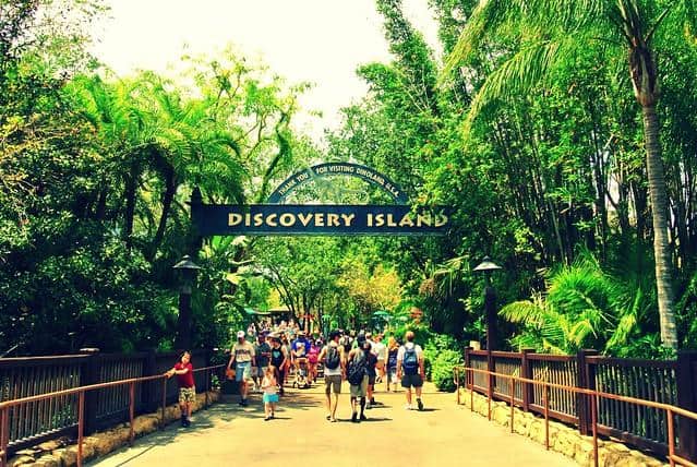 Discovery Island engste plekken vermijden