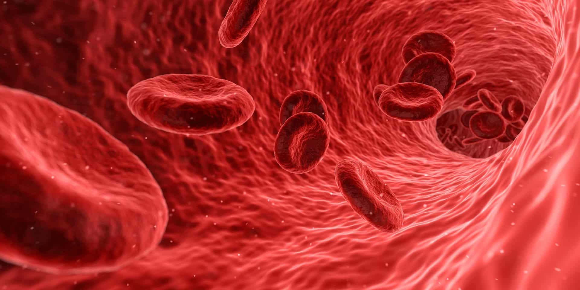 Bloed bloedcellen bloedlichaampjes roken