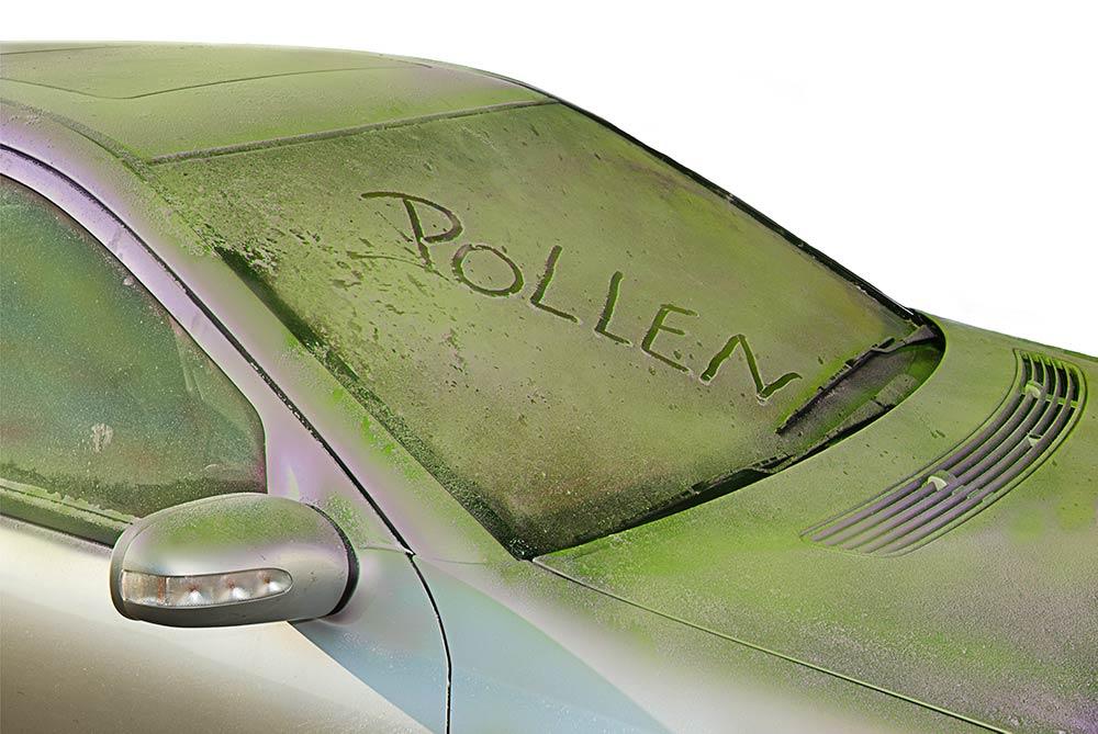 Hooikoorts pollen auto