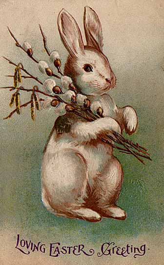 Paashaas pasen Easter bunny