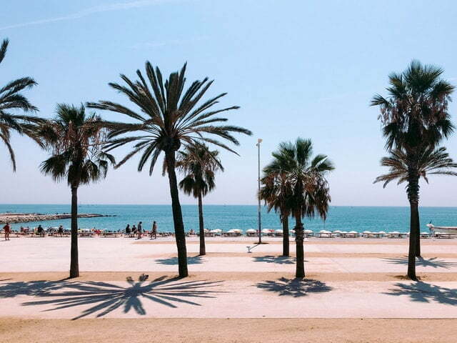 barcelona citytrip stad strand zee palmbomen zomer