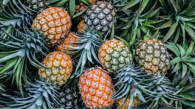 ananas exotisch fruit tropische fruit soorten